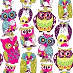 owls7-01-111413-2006